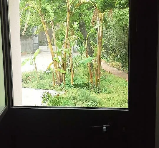 La Cage Aux Folles 4*